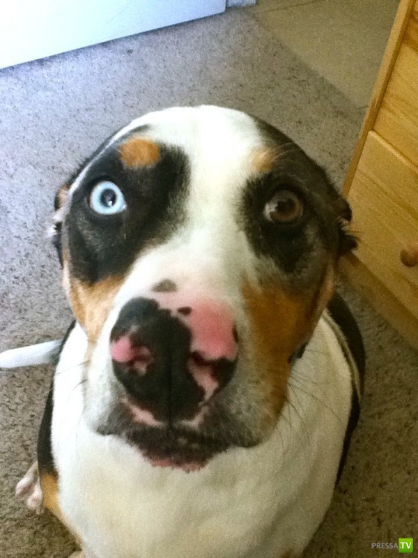 ��� �������� �������� ����� 6 (33 ����)