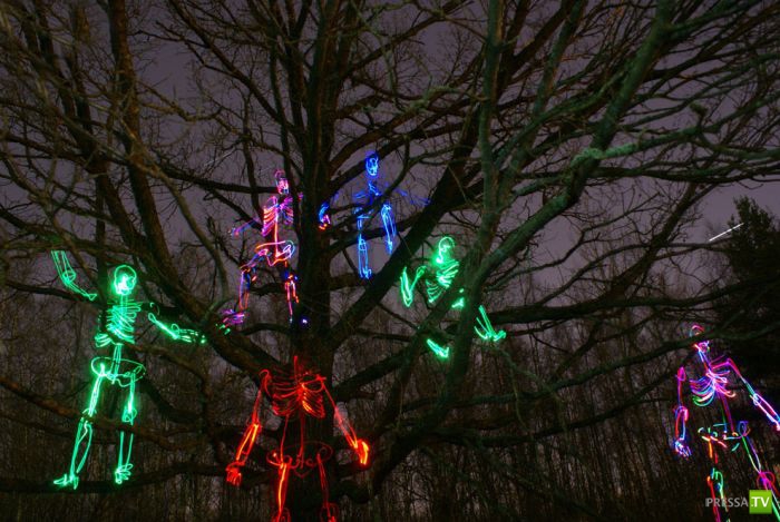    Janne Parviainen (23 )