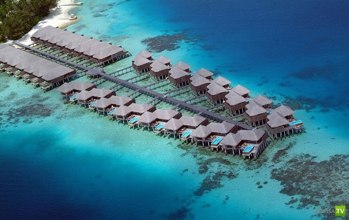Отель Coco Palm Bodu Hithi на Мальдивах (23 фото)