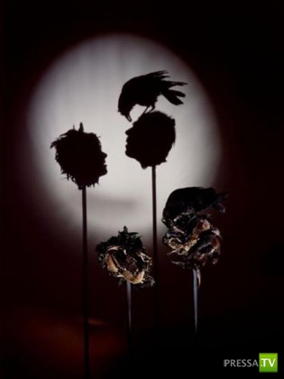 ��������� ���� ����� (16 ����)