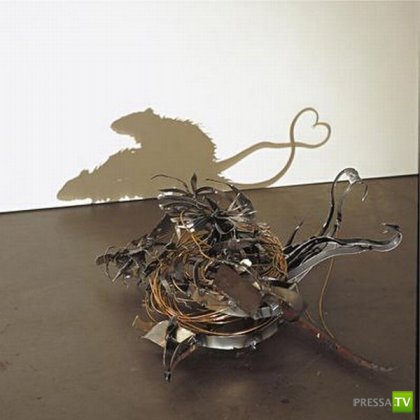 ��������� ���� ����� (16 ����)