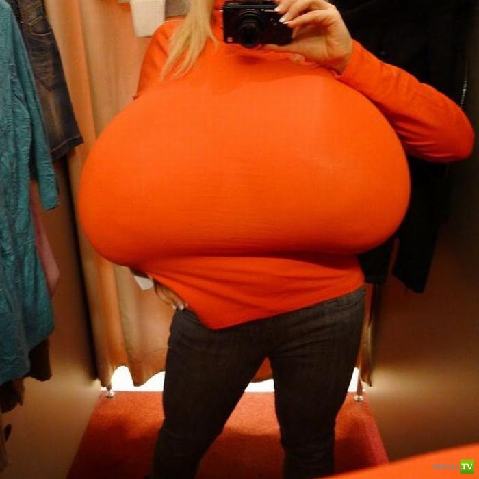 ������� � ����� ������� ������ (14 ����)