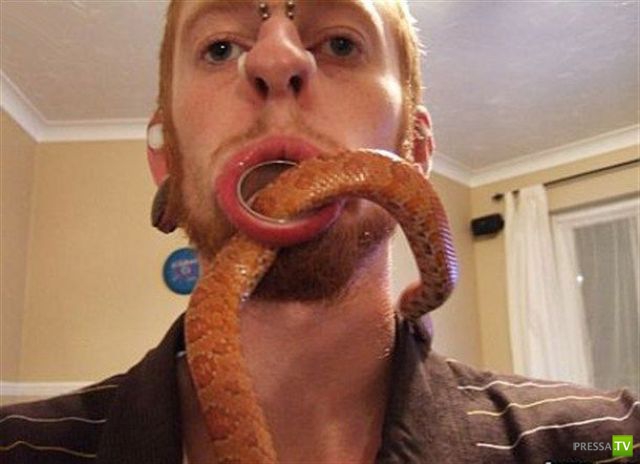 �������� ������� � ���������� ���������� ����� 8 ( 40 ����)