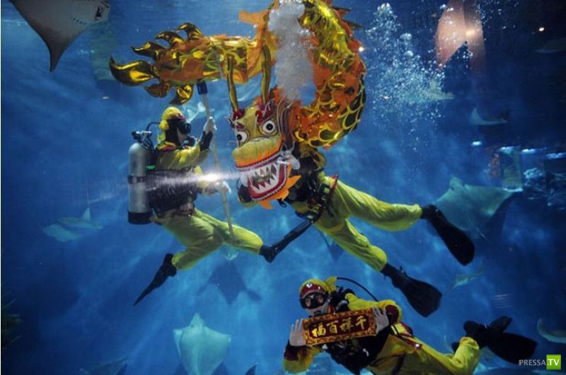 �������� ������� � ���������� ���������� ����� 8 ( 40 ����)