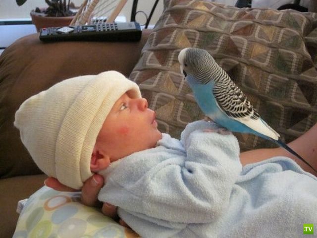 �������� ������� � ���������� ���������� ����� 8 ( 40 ����)