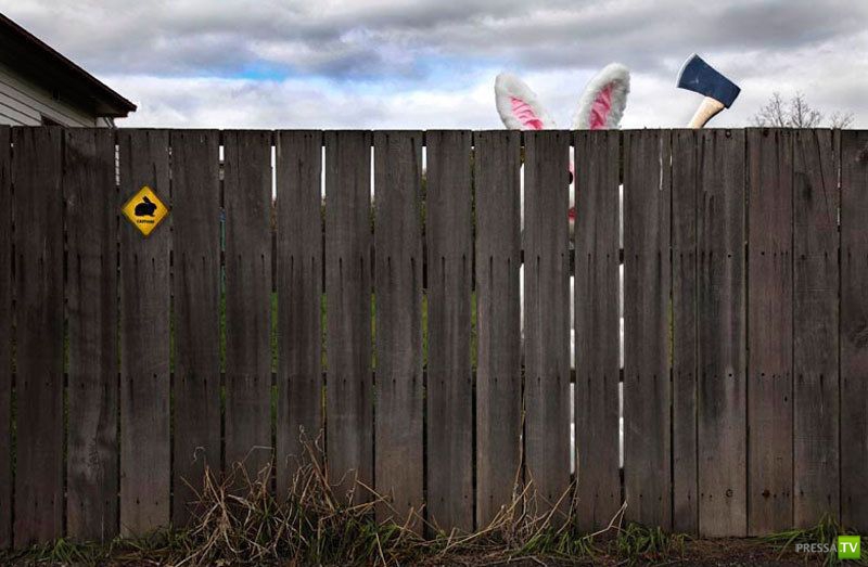 �������� ������� � ���������� ���������� ����� 8 ( 40 ����)