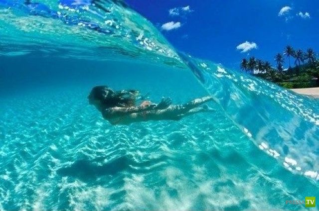 �������� ������� � ���������� ���������� ����� 8 ( 40 ����)