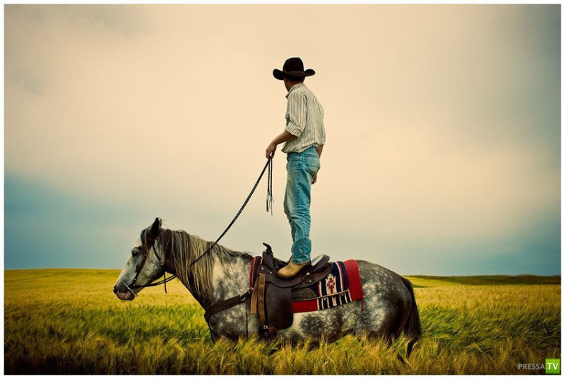 �������� ������� � ���������� ���������� ����� 8 ( 40 ����)