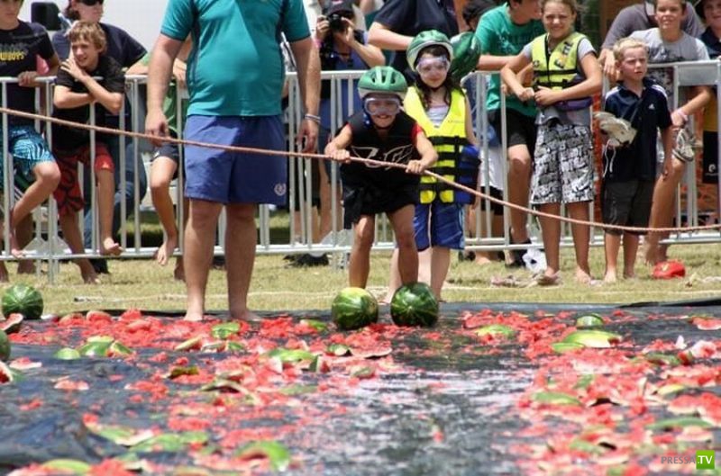 �������� ������� � ���������� ���������� ����� 8 ( 40 ����)