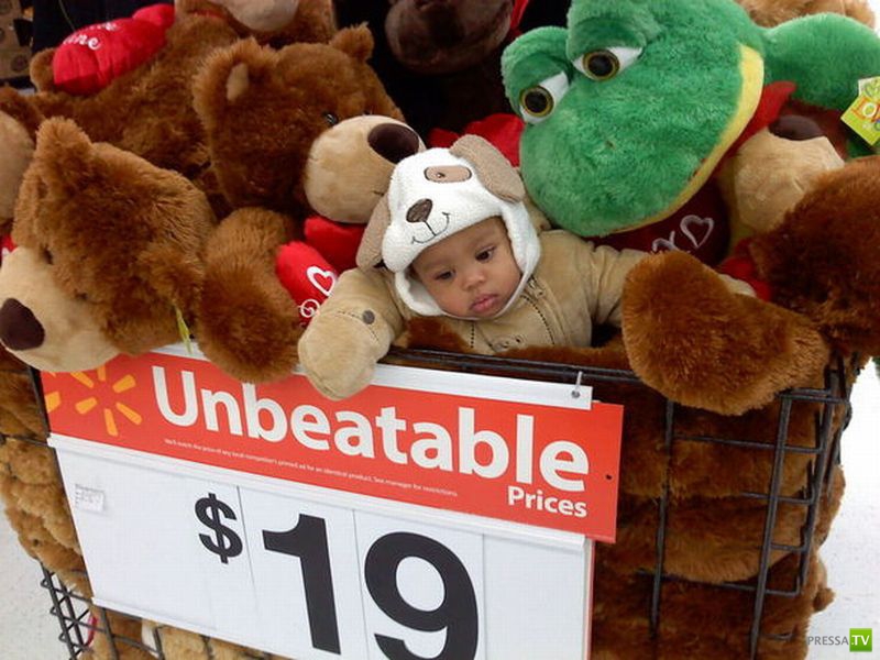 �������� ���� � ������ (24 ����)