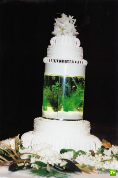 ��������� ��������� ����� (11 ����)