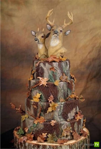 ��������� ��������� ����� (11 ����)