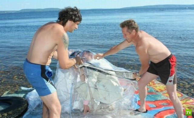 ����� �������� ������� (18 ����)