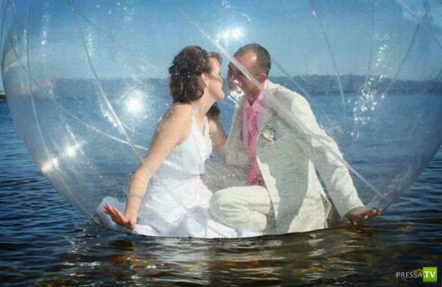 ����� �������� ������� (18 ����)