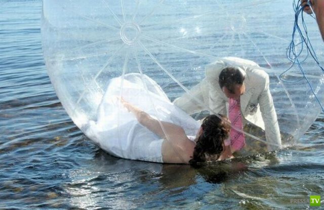 ����� �������� ������� (18 ����)