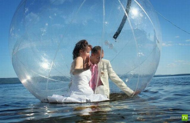 ����� �������� ������� (18 ����)