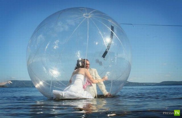 ����� �������� ������� (18 ����)