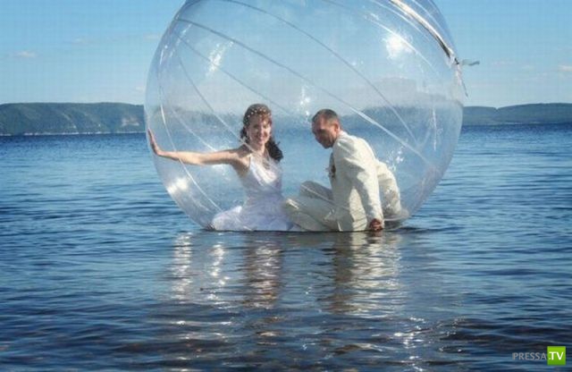 ����� �������� ������� (18 ����)