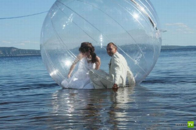 ����� �������� ������� (18 ����)