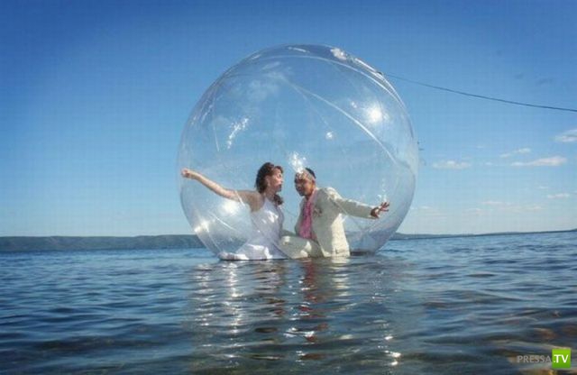 ����� �������� ������� (18 ����)