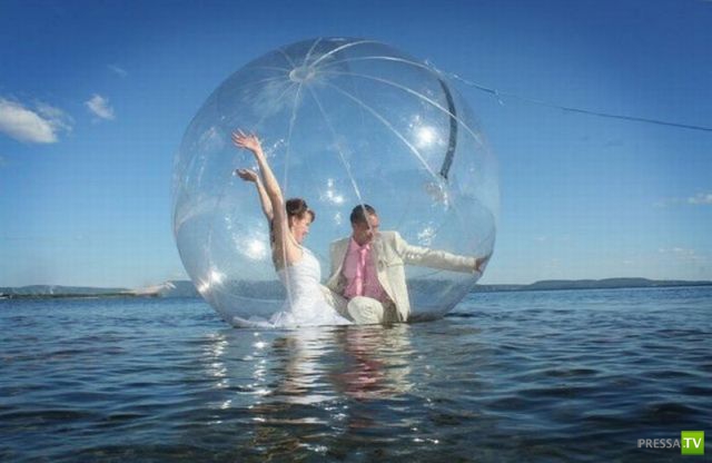 ����� �������� ������� (18 ����)