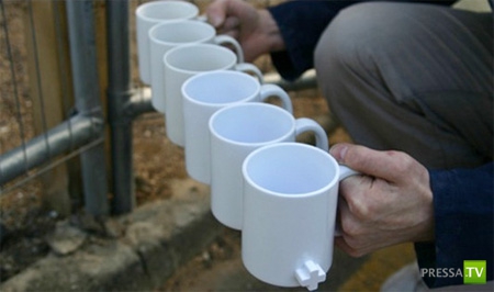 ����� ��������� ������ (41 ����)