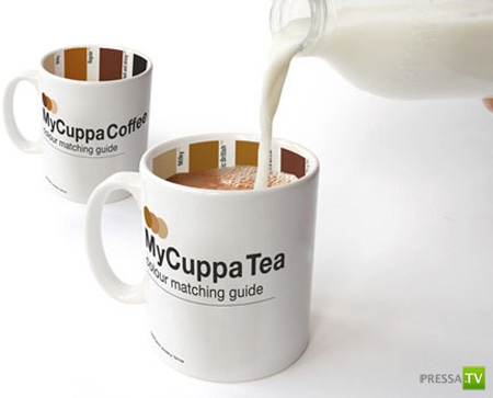 ����� ��������� ������ (41 ����)