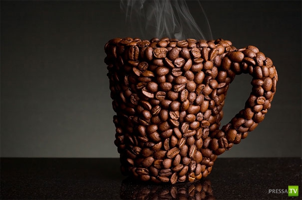 ����� ��������� ������ (41 ����)