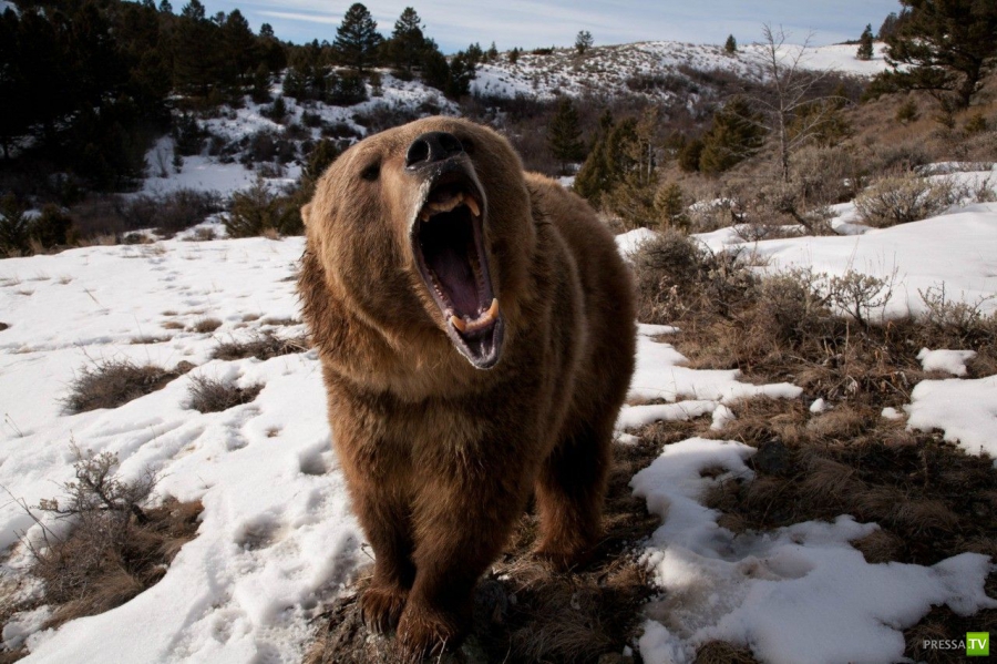 �������� ������� � ���������� ���������� ����� 8  ( 40 ����)