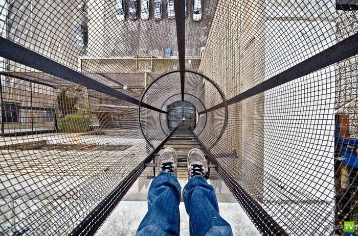 ������������� �������� �� ��������