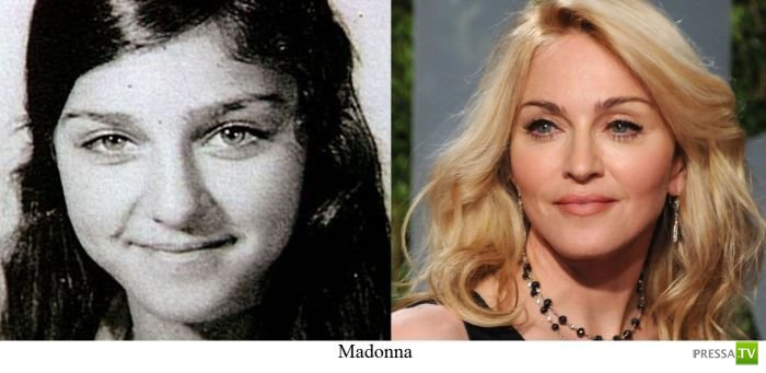 ������ � ��������� � ������ ( 23 ����)