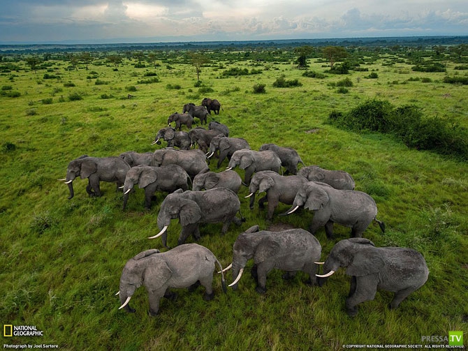    2012  National Geographic (41 )