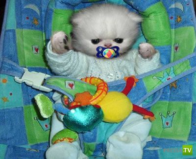 ����� � �������... �������� ���������� ����� (23 ����)