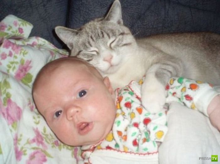 ����� � �������... �������� ���������� ����� (23 ����)