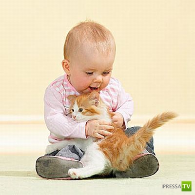 ����� � �������... �������� ���������� ����� (23 ����)