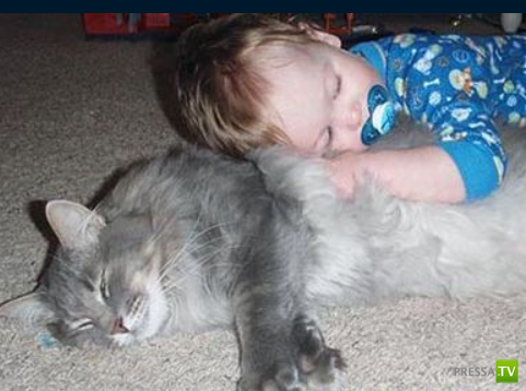 ����� � �������... �������� ���������� ����� (23 ����)