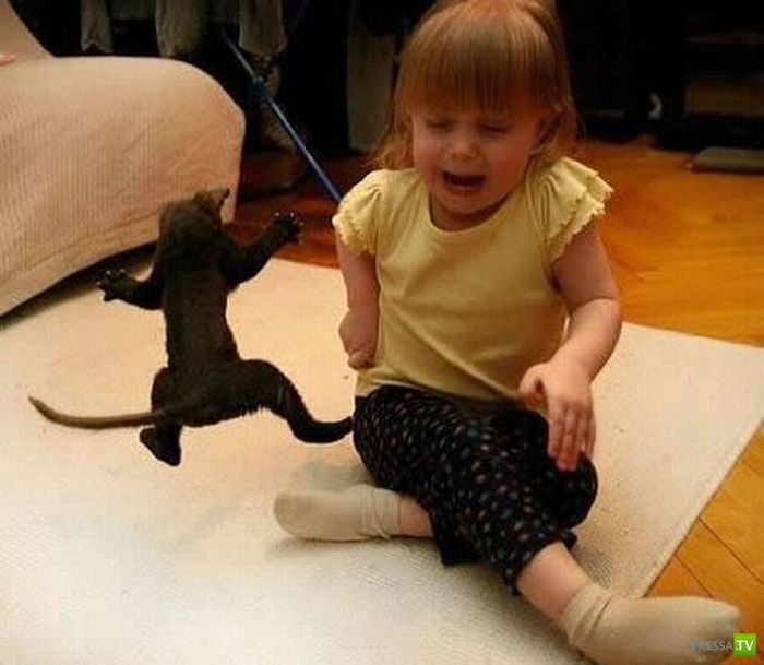 ����� � �������... �������� ���������� ����� (23 ����)