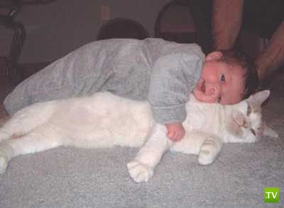 ����� � �������... �������� ���������� ����� (23 ����)