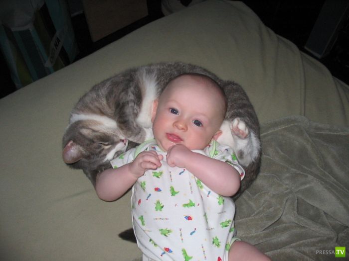 ����� � �������... �������� ���������� ����� (23 ����)