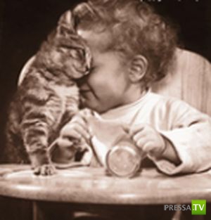 ����� � �������... �������� ���������� ����� (23 ����)