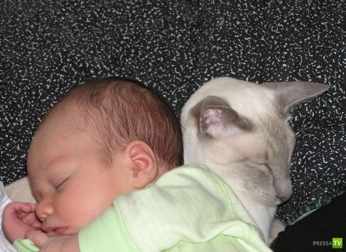 ����� � �������... �������� ���������� ����� (23 ����)