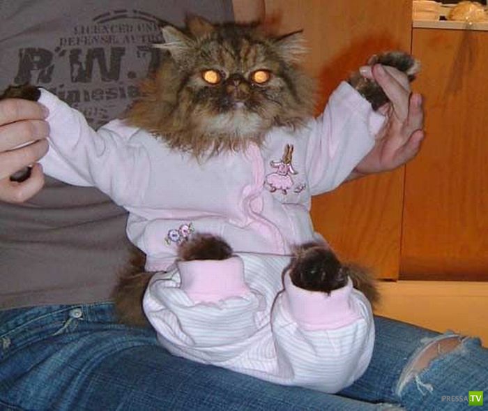 ����� � �������... �������� ���������� ����� (23 ����)