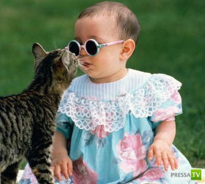 ����� � �������... �������� ���������� ����� (23 ����)