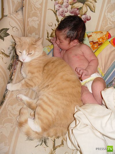 ����� � �������... �������� ���������� ����� (23 ����)