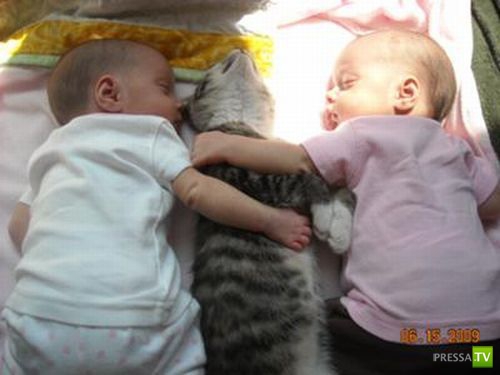 ����� � �������... �������� ���������� ����� (23 ����)