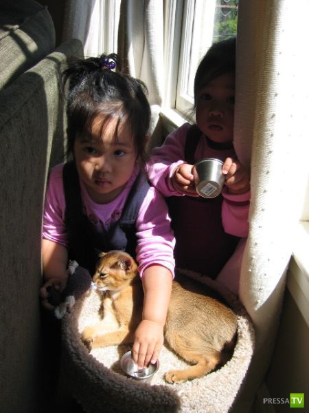 ����� � �������... �������� ���������� ����� (23 ����)