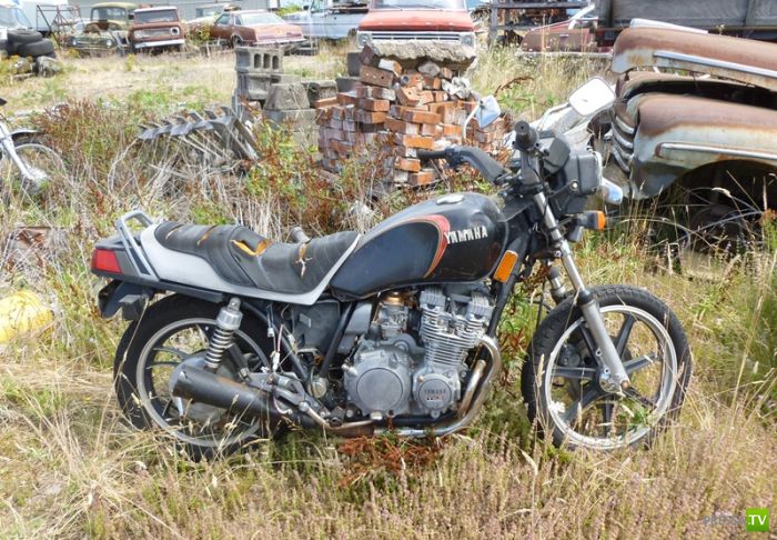 ������������� �������� � ����� ������ (35 ����)