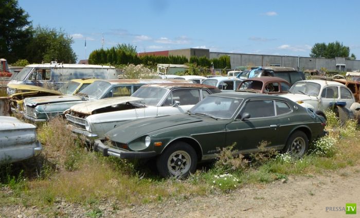 ������������� �������� � ����� ������ (35 ����)