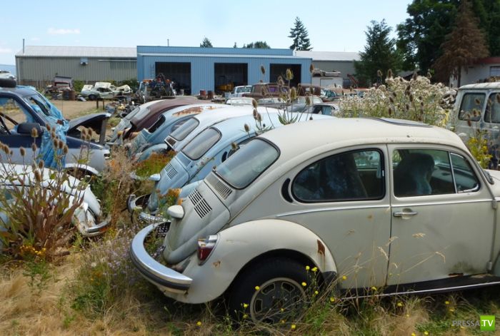 ������������� �������� � ����� ������ (35 ����)