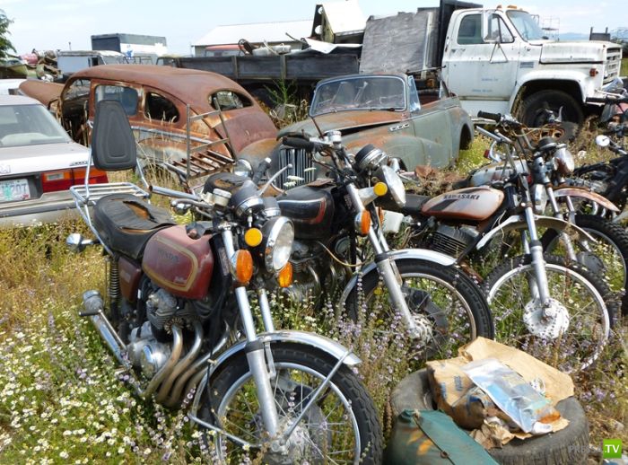 ������������� �������� � ����� ������ (35 ����)